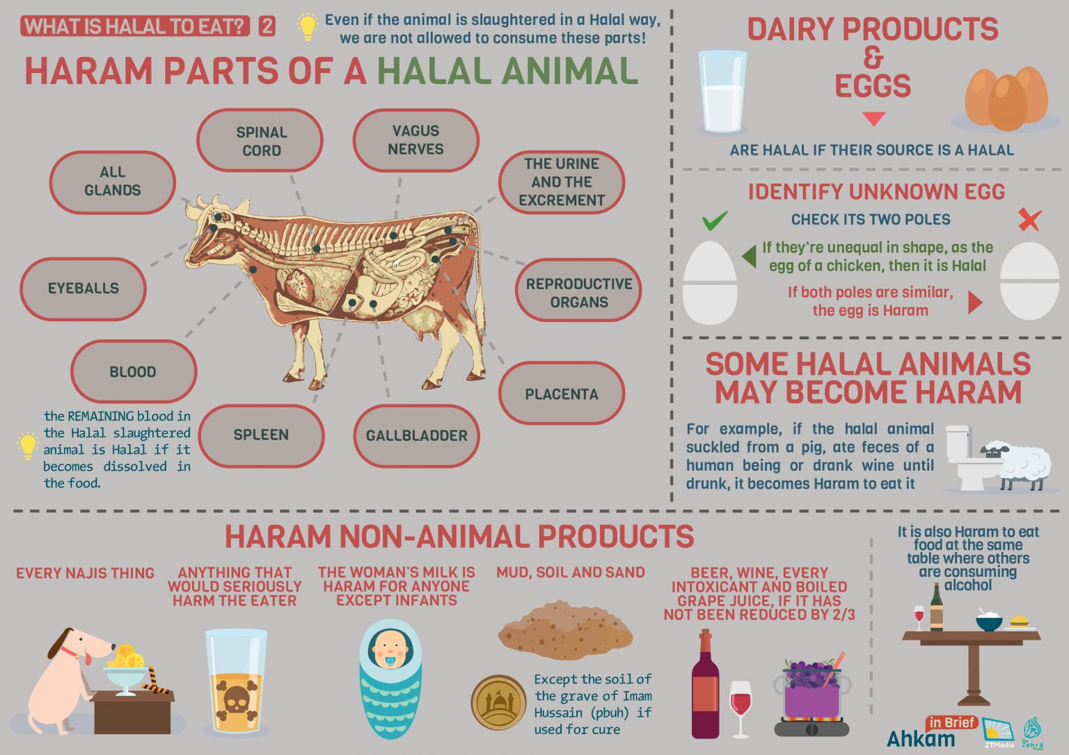 What Is Halal To Eat Part 2 Salamoji